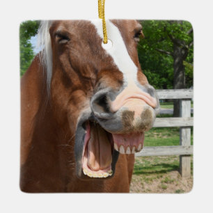 Ornement En Céramique Cheval riant drôle