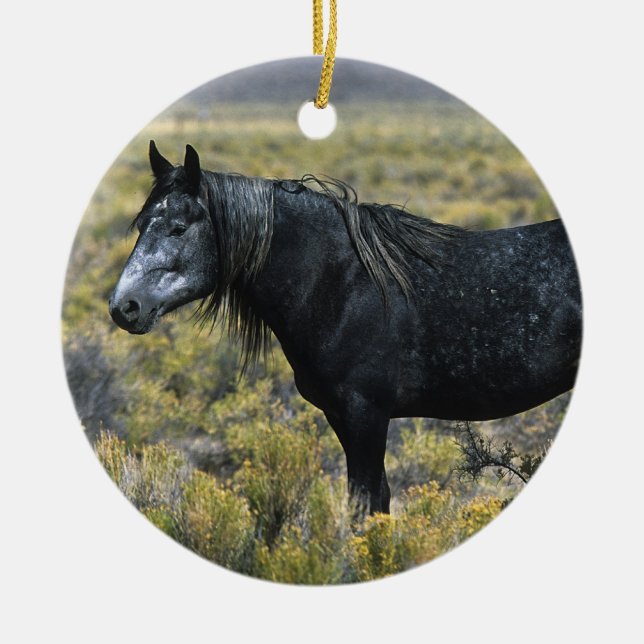 Ornement En Céramique Cheval sauvage de mustang dans le désert (Devant)
