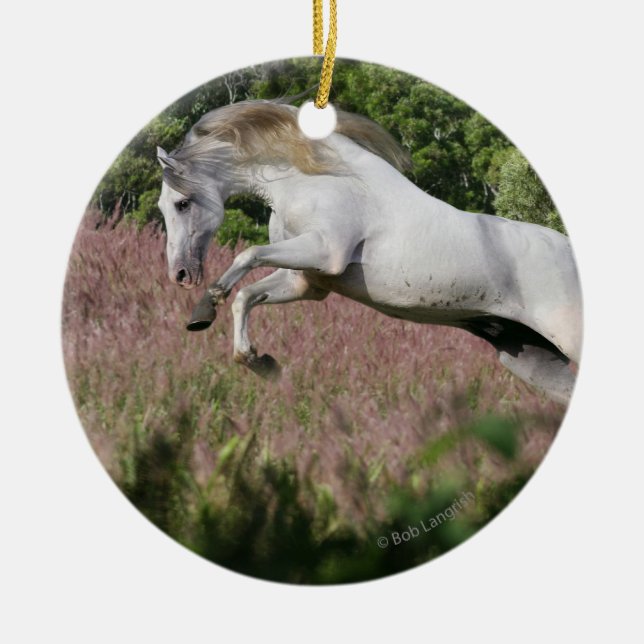Ornement En Céramique Chevaux d'imaginaire : Galop de ressort (Devant)