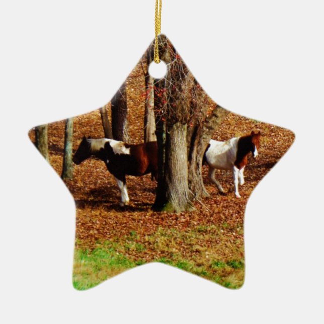 Ornement En Céramique Chevaux jumeaux Brown et blancs (Devant)