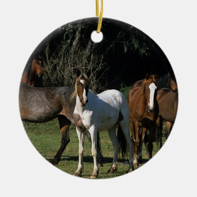 Ornement En Céramique Chevaux sauvages 1 de mustang (Devant)