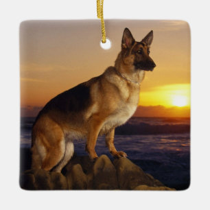 Ornement En Céramique Chien berger allemand
