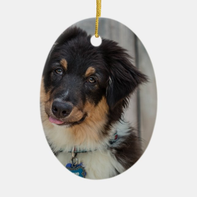 Ornement En Céramique Chien de berger australien (Devant)