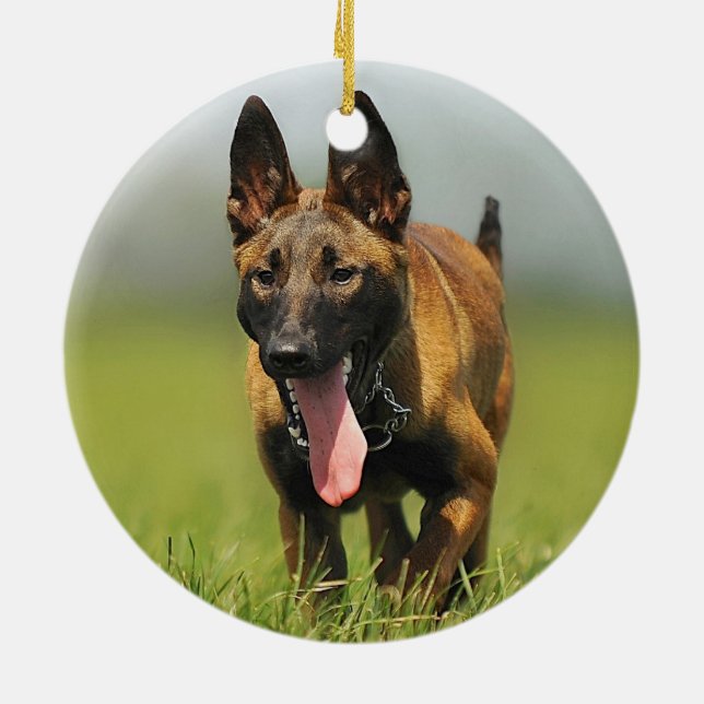 Ornement En Céramique Chien de berger belge (Dos)