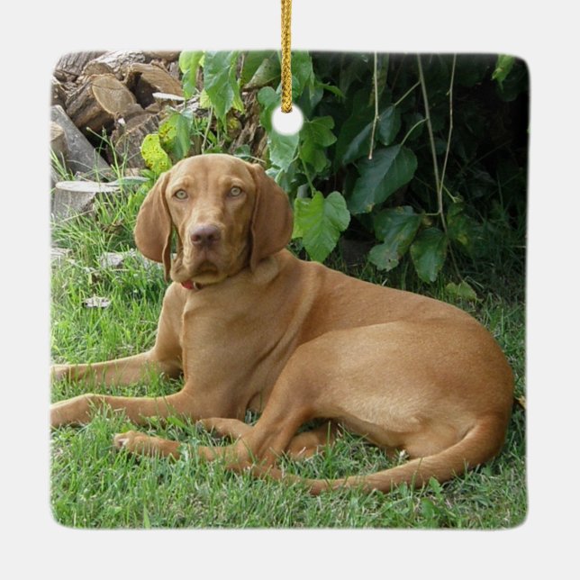 Ornement En Céramique Chien de la vallée (Dos)