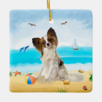 Chien de Papillon sur la plage