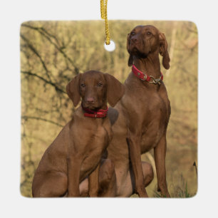 Ornement En Céramique Chiens de la colline de Vizsla