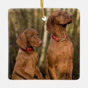 Ornement En Céramique Chiens de la colline de Vizsla