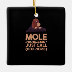 Ornement En Céramique Chimie - Problèmes de mole