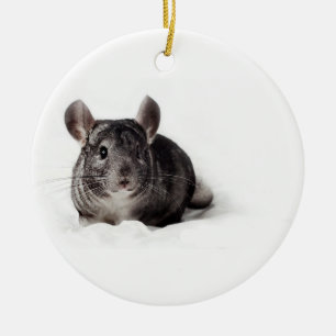 Ornement En Céramique Chinchilla gris mignon dans la couverture