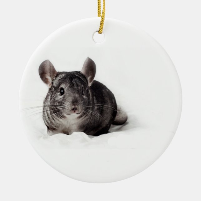 Ornement En Céramique Chinchilla gris mignon dans la couverture (Devant)