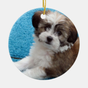 Ornement En Céramique Chiot de délivrance de Havanese