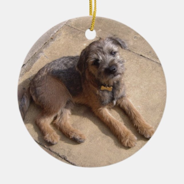 Ornement En Céramique Chiot de Terrier de frontière (Devant)