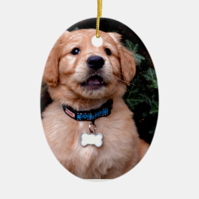 Ornement En Céramique Chiot Golden Retriever (Devant)