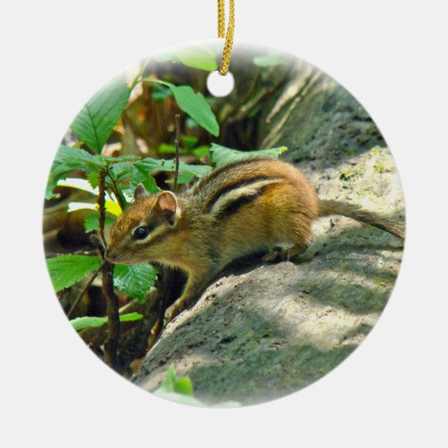 Ornement En Céramique Chipmunk de l'Est sur le journal (Devant)
