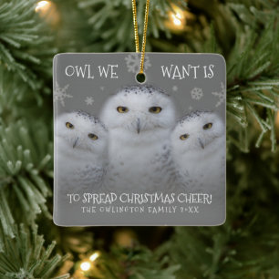 Ornement En Céramique Chouette Nous Voulons Étendre Noël Cheer Chouette 