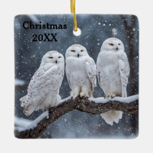 Ornement En Céramique Chouettes neigeuses de Noël