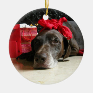 Ornement En Céramique Christmas german shorthred pointer