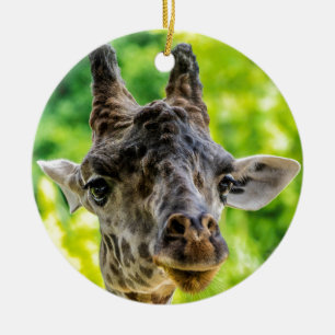 Ornement En Céramique Cils de girafe