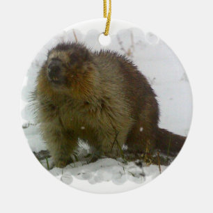 Ornement En Céramique Classic Beaver Ornament