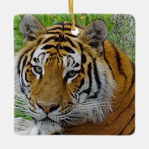 Ornement En Céramique Closeup de tigre de Sibérie Photo du visage