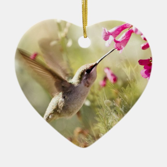 Ornement En Céramique Colibri (Devant)