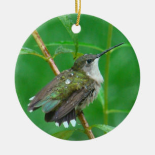 Ornement En Céramique Colibri avec la diffusion d'ailes