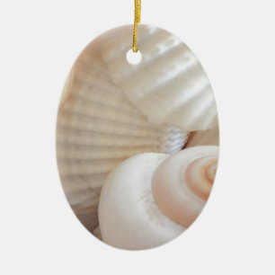 Ornement En Céramique Collection de coquillages d'été ensoleillés