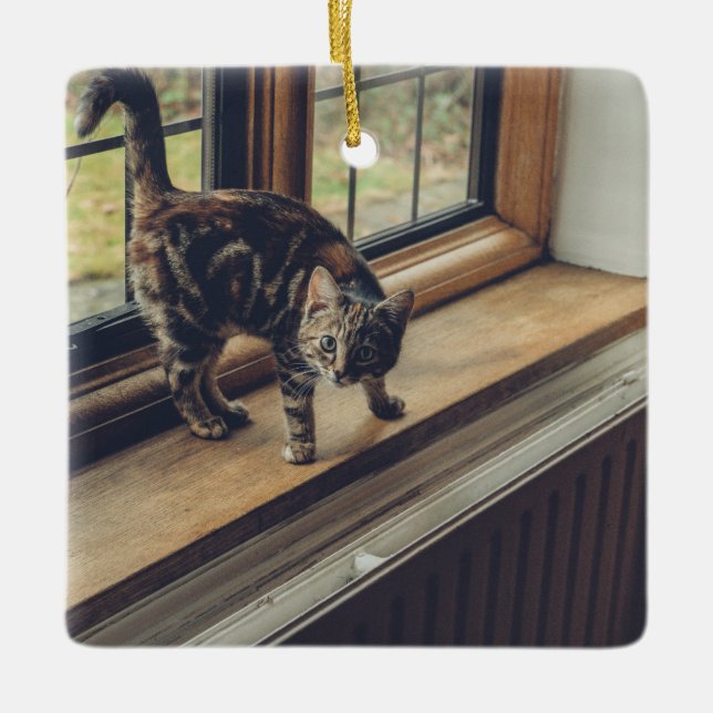 Ornement En Céramique Combien coûte ce Kitty dans la fenêtre ? (Devant)