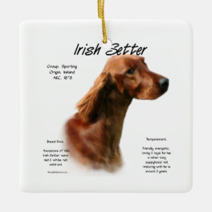 Ornement En Céramique Conception de l'histoire des Setter irlandais