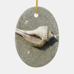 Ornement En Céramique Coquillage