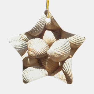 Ornement En Céramique Coquillages