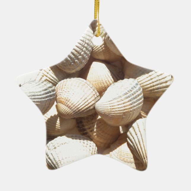 Ornement En Céramique Coquillages (Dos)
