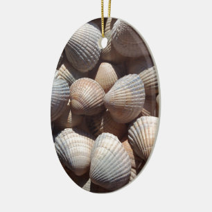 Ornement En Céramique Coquillages