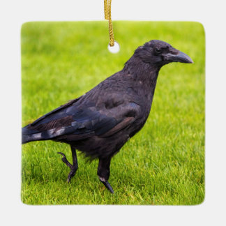 Ornement En Céramique Corneille noire