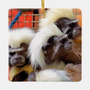 ORNEMENT EN CÉRAMIQUE COTON - TOP TAMARIN SINGES