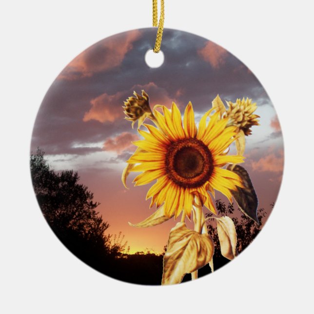ORNEMENT EN CÉRAMIQUE COUCHER DE SOLEIL ET ROSE EN ÉTÉ (Devant)