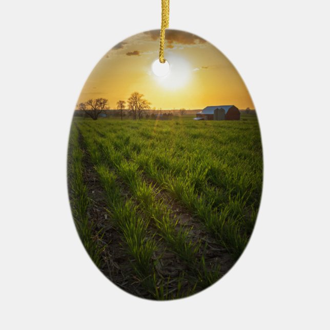 Ornement En Céramique Coucher du soleil de terres cultivables (Devant)