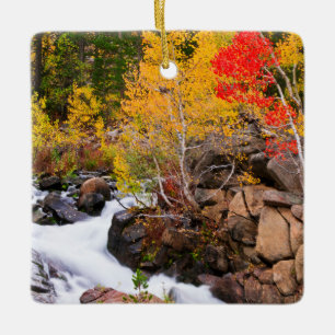 Ornement En Céramique Couleurs d'automne le long de Bishop Creek, CA