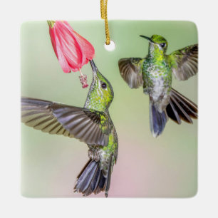 Ornement En Céramique Couple de colibri volant ensemble Nom