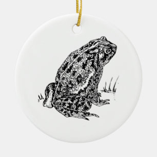 Ornement En Céramique Crapaud