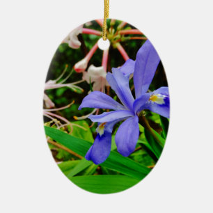 Ornement En Céramique Crested Dwarf Iris