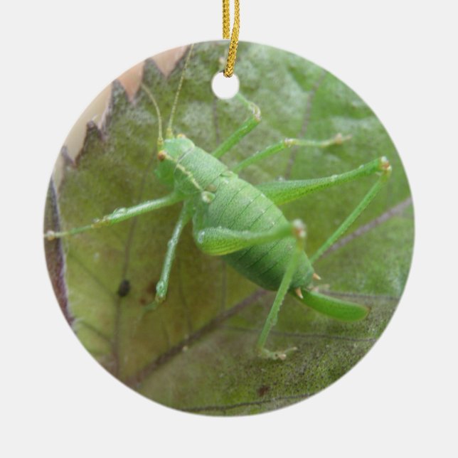 Ornement En Céramique Cricket vert sur une feuille d'anniversaire person (Devant)