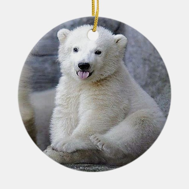 Ornement En Céramique Cube d'ours polaire (Devant)