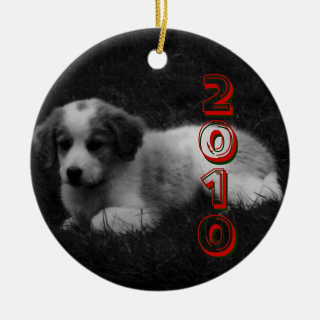 Ornement En Céramique CUSTOMISEZ le premier Noël de votre chiot (Devant)