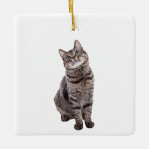 Ornement En Céramique Cute tabby Cat