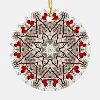 Ornement En Céramique Cynorrhodons sur la glace