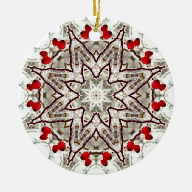 Ornement En Céramique Cynorrhodons sur la glace (Devant)