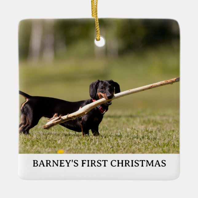 Ornement En Céramique DACHSHING First Christmas Nom de la photo Année (Devant)