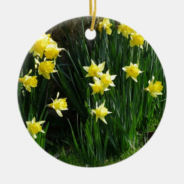 Ornement En Céramique Daffodiques de printemps (Devant)